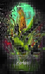 Şaman Defterleri - Bereket - Gece Kitaplığı