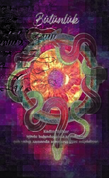 Şaman Defterleri - Bütünlük - Gece Kitaplığı