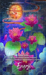 Şaman Defterleri - Enerji - Gece Kitaplığı