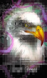 Şaman Defterleri - Güçlü Pençe - Gece Kitaplığı