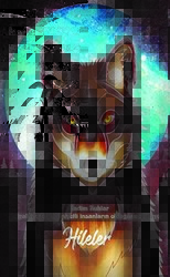 Şaman Defterleri - Hileler - Gece Kitaplığı