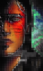 Şaman Defterleri - Şahit - Gece Kitaplığı