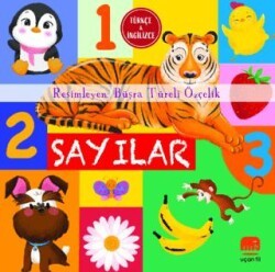 Sayılar - Uçan Fil Yayınları