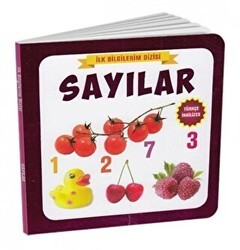 Sayılar - İlk Bilgilerim Dizisi - Çocuk Gezegeni