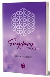 Sayıların Ardındaki Sır - Herdem Kitap