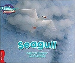 Seagull - Cambridge Yayınları