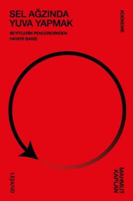 Sel Ağzında Yuva Yapmak - 1