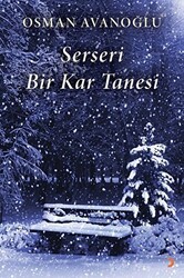 Serseri Bir Kar Tanesi - Cinius Yayınları