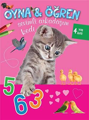 Sevimli Arkadaşım Kedi - 1