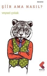 Şiir Ama Nasıl? - Klaros Yayınları