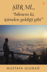 Şiir mi…”bilmem ki, içimden geldiği gibi” - Cinius Yayınları