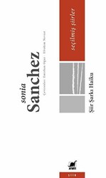 Şiir Şarkı Haiku - Seçilmiş Şiirler - Ayrıntı Yayınları