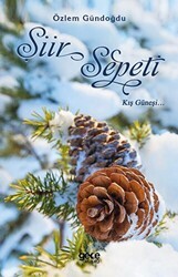 Şiir Sepeti - Gece Kitaplığı