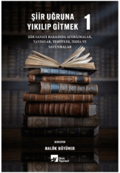 Şiir Uğruna Yıkılıp Gitmek 1 - Divit Kitabevi