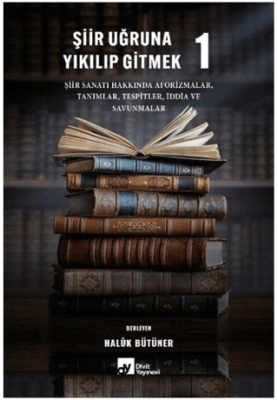 Şiir Uğruna Yıkılıp Gitmek 1 - 1