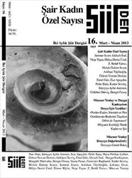 Şiirden İki Aylık Şiir Dergisi Sayı: 16 - Şiirden Yayıncılık