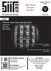 Şiirden İki Aylık Şiir Dergisi Sayı: 29 - Şiirden Yayıncılık