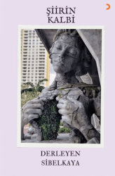 Şiirin Kalbi - Cinius Yayınları