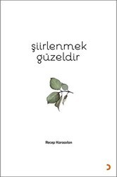 Şiirlenmek Güzeldir - Cinius Yayınları