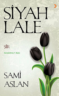 Siyah Lale - 1