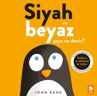 Siyah ve Beyaz Şeye Ne Denir? - 1