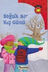 Soğuk Bir Kış Günü - Teleskop Popüler Bilim