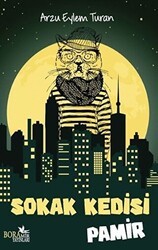 Sokak Kedisi Pamir - Boramir Yayınları