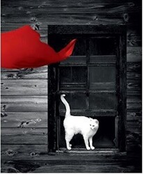 Son Resim - Doğu Kitabevi