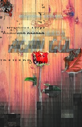 Sonbaharda Açan Gül - Gece Kitaplığı