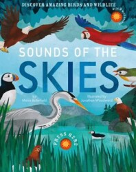 Sounds of the Skies - Little Tiger Group