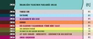 Stefan Zweig Seti 10 Kitap Takım - 1