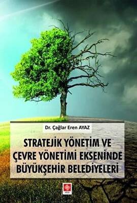 Stratejik Yönetim ve Çevre Yönetimi Ekseninde Büyükşehir Belediyeleri - 1