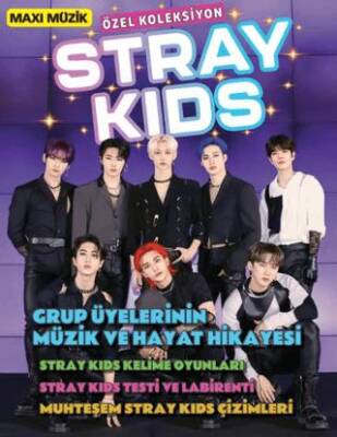 Stray Kıds 4 - 1