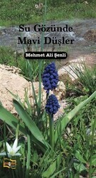 Su Gözünde Mavi Düşler - Payda Yayıncılık