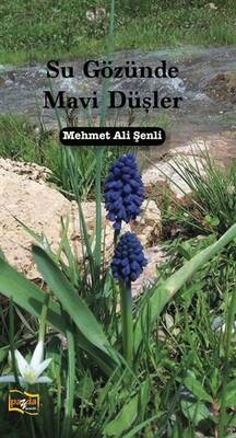 Su Gözünde Mavi Düşler - 1