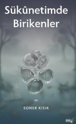 Sükunetimde Birikenler - Sınırsız Kitap