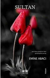 Sultan - Akıl Fikir Yayınları
