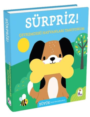 Sürpriz! – Çevremdeki Hayvanları Tanıyorum - 1