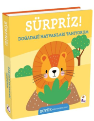 Sürpriz! – Doğadaki Hayvanları Tanıyorum - İndigo Çocuk