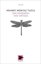 Tam Karşımda, Tam Ortada - Alakarga Sanat Yayınları