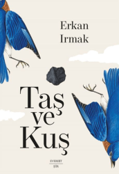 Taş ve Kuş - Everest Yayınları