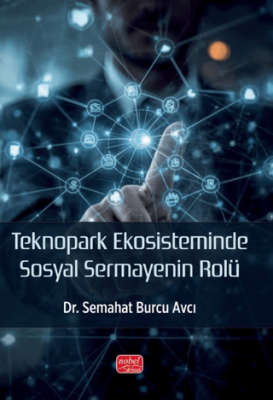 Teknopark Ekosisteminde Sosyal Sermayenin Rolü - 1