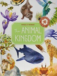 The Animal Kingdom - Yoyo Books