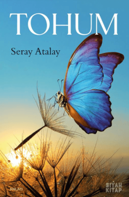 Tohum - 1