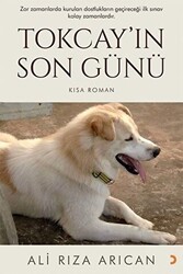Tokcay’ın Son Günü - Cinius Yayınları