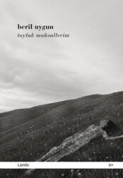 Toyluk Mahsullerim - Lando Yayınları