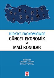 Türkiye Ekonomisinde Güncel Ekonomik ve Mali Konular - Ekin Basım Yayın