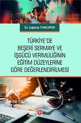 Türkiye`de Beşeri Sermaye ve İşgücü Verimliliğinin Eğitim Düzeylerine Göre Değerlendirilmesi - Ekin Basım Yayın