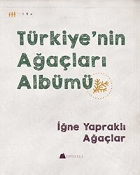 Türkiye`nin Ağaçları Albümü - İğne Yapraklı Ağaçlar - Kumdan Kale