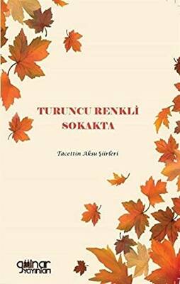 Turuncu Renkli Sokakta - 1